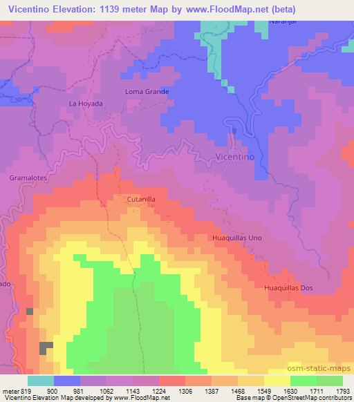 Vicentino,Ecuador Elevation Map