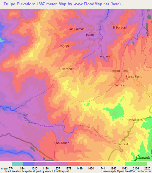 Tulipe,Ecuador Elevation Map