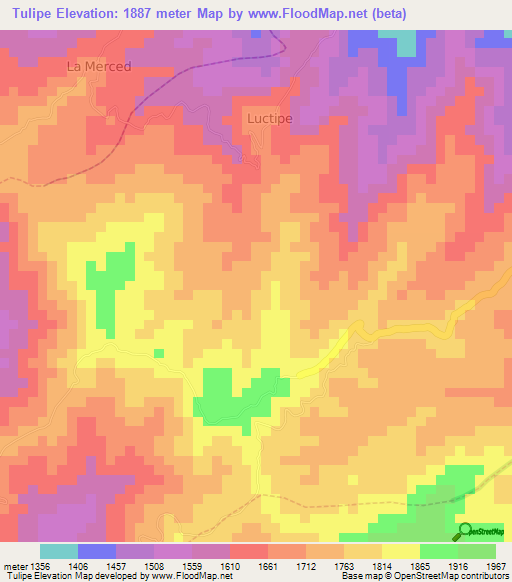 Tulipe,Ecuador Elevation Map