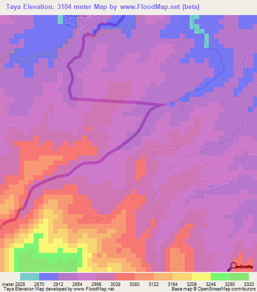 Taya,Ecuador Elevation Map