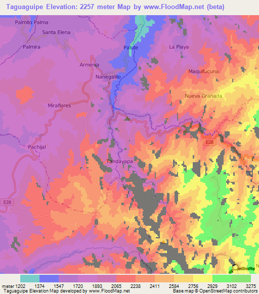 Taguaguipe,Ecuador Elevation Map