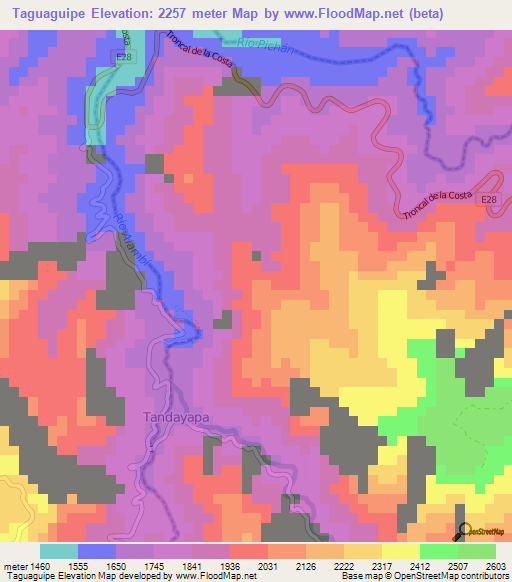 Taguaguipe,Ecuador Elevation Map