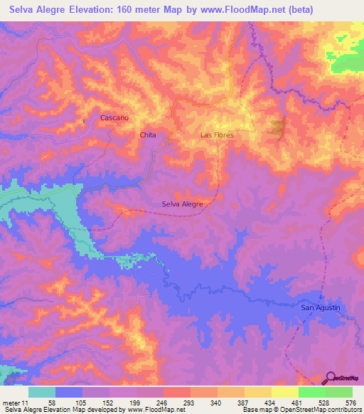 Selva Alegre,Ecuador Elevation Map