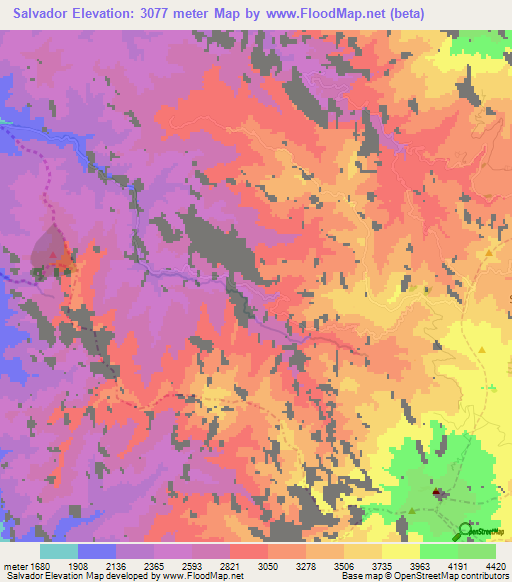 Salvador,Ecuador Elevation Map