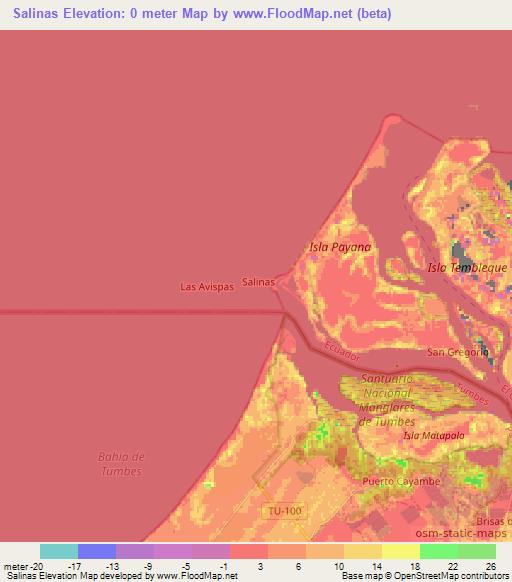 Salinas,Ecuador Elevation Map