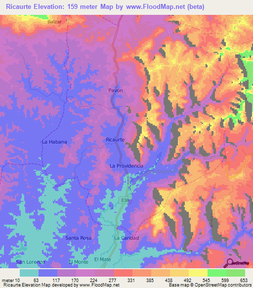 Ricaurte,Ecuador Elevation Map