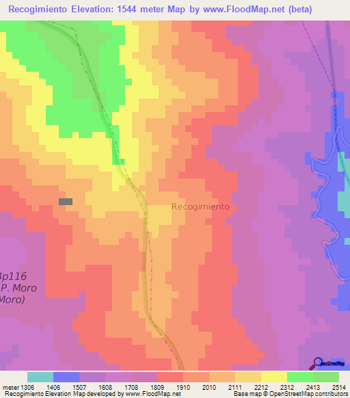 Recogimiento,Ecuador Elevation Map