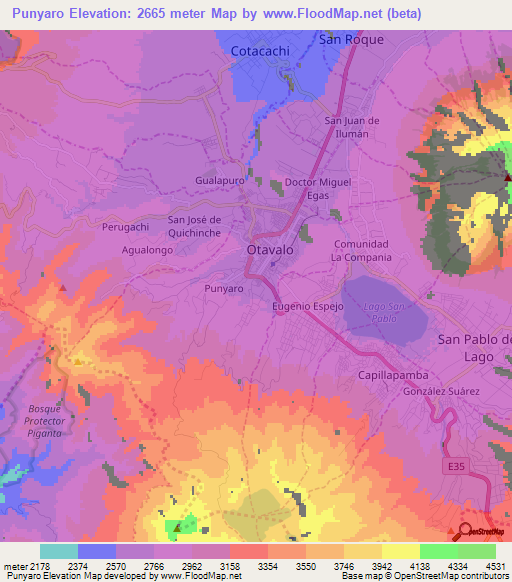 Punyaro,Ecuador Elevation Map