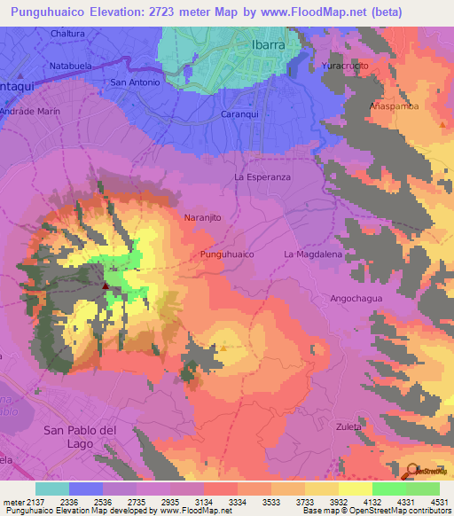 Punguhuaico,Ecuador Elevation Map