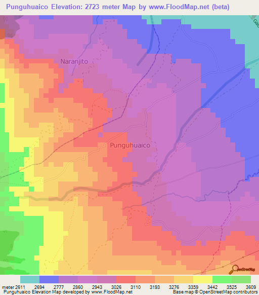 Punguhuaico,Ecuador Elevation Map