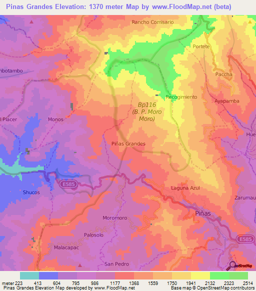 Pinas Grandes,Ecuador Elevation Map