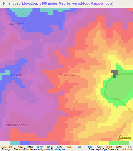 Pinanguso,Ecuador Elevation Map