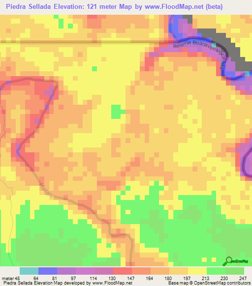 Piedra Sellada,Ecuador Elevation Map