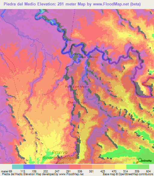 Piedra del Medio,Ecuador Elevation Map