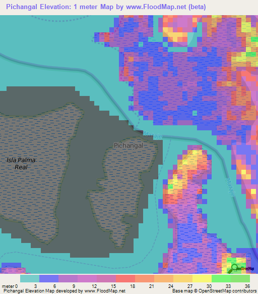 Pichangal,Ecuador Elevation Map