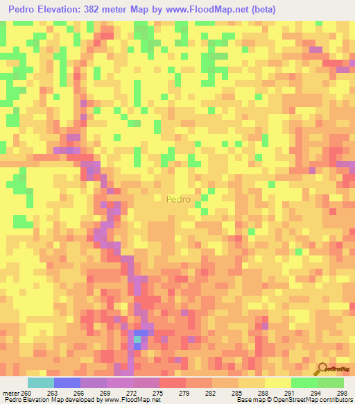 Pedro,Ecuador Elevation Map