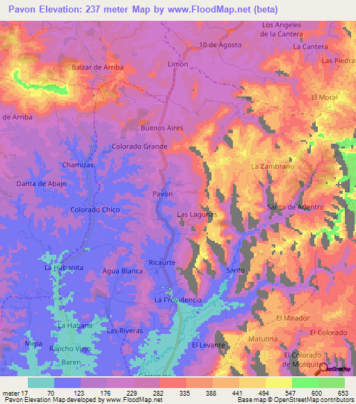 Pavon,Ecuador Elevation Map