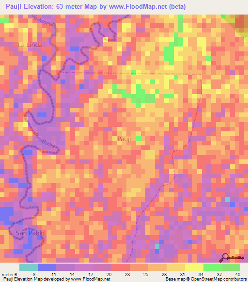 Pauji,Ecuador Elevation Map