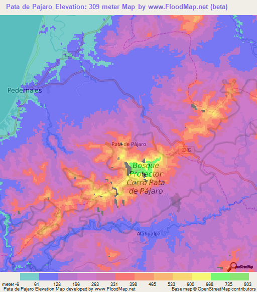 Pata de Pajaro,Ecuador Elevation Map