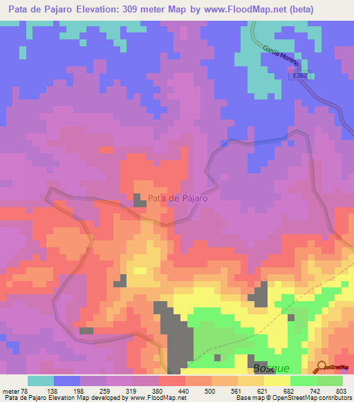 Pata de Pajaro,Ecuador Elevation Map