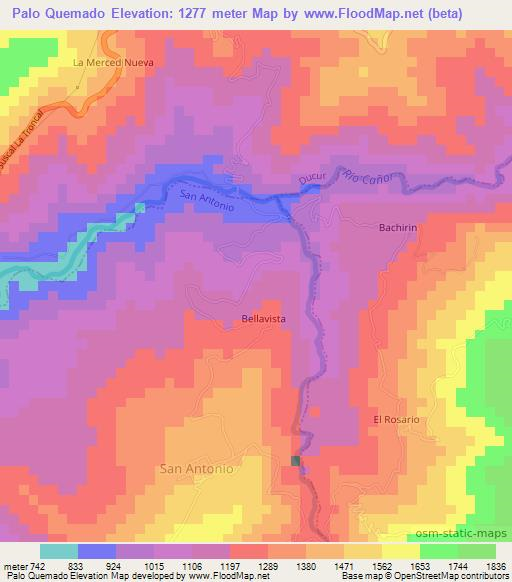 Palo Quemado,Ecuador Elevation Map