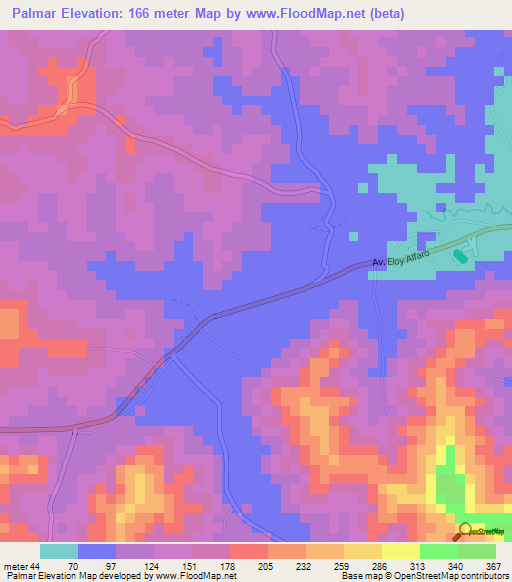 Palmar,Ecuador Elevation Map