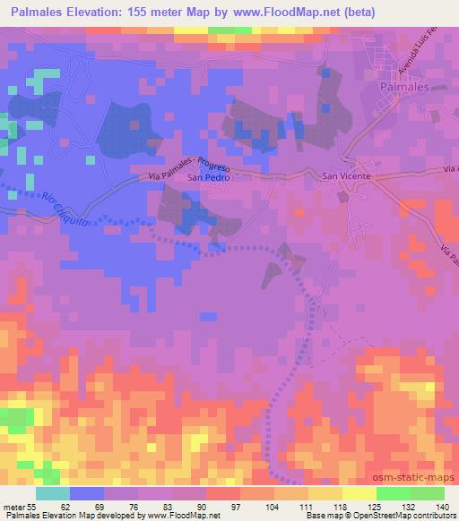 Palmales,Ecuador Elevation Map