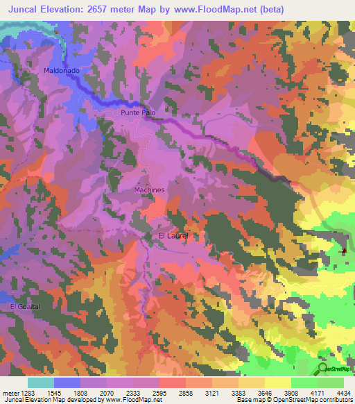 Juncal,Ecuador Elevation Map