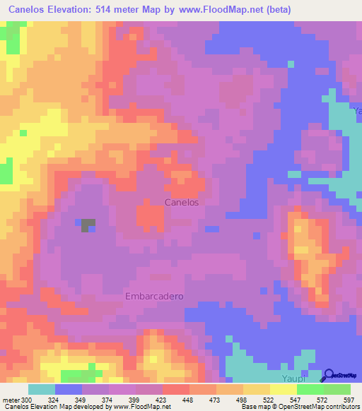 Canelos,Ecuador Elevation Map