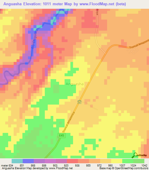 Anguasha,Ecuador Elevation Map