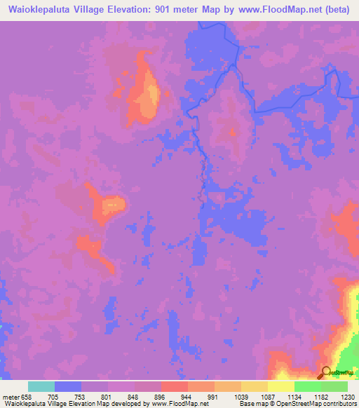 Waioklepaluta Village,Guyana Elevation Map