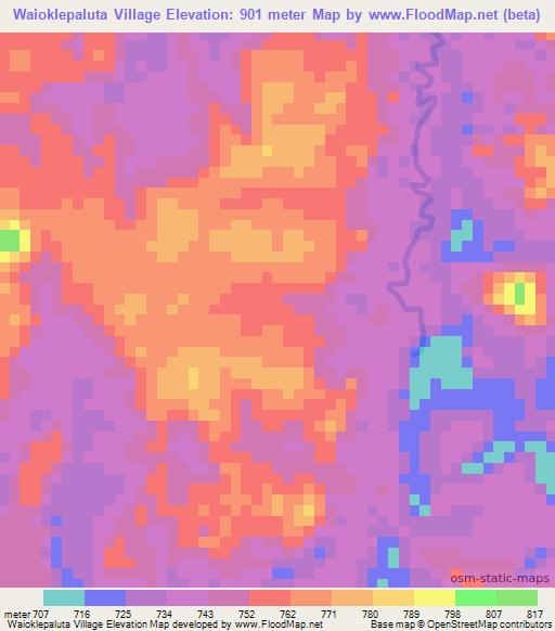 Waioklepaluta Village,Guyana Elevation Map