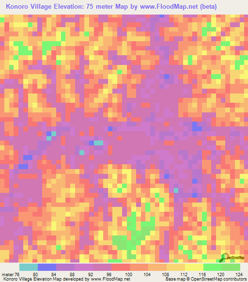 Konoro Village,Guyana Elevation Map