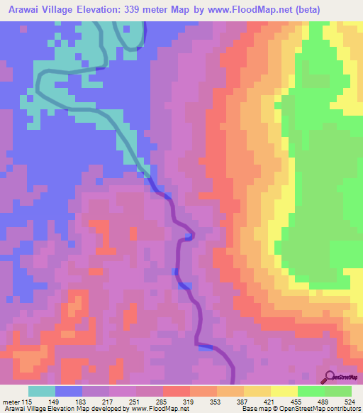 Arawai Village,Guyana Elevation Map