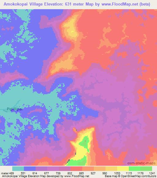 Amokokopai Village,Guyana Elevation Map