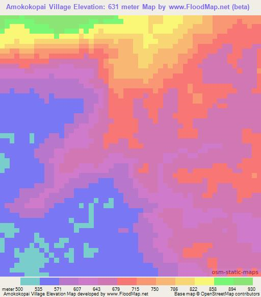 Amokokopai Village,Guyana Elevation Map