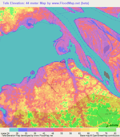 Tefe,Brazil Elevation Map