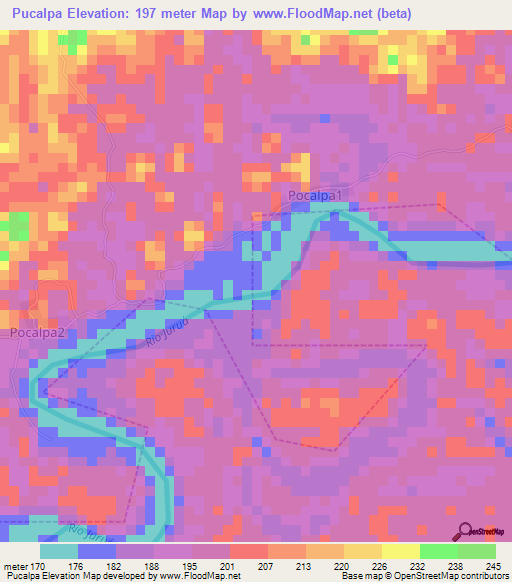 Pucalpa,Brazil Elevation Map