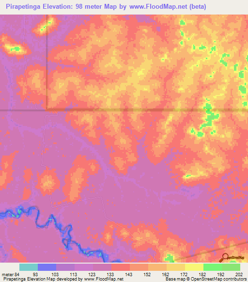 Pirapetinga,Brazil Elevation Map