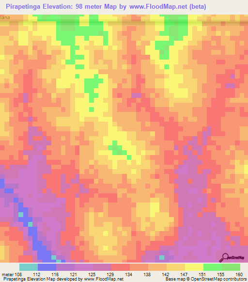 Pirapetinga,Brazil Elevation Map