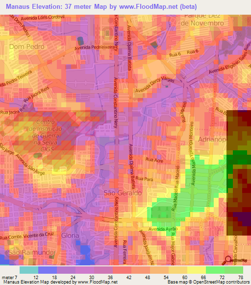 Manaus,Brazil Elevation Map