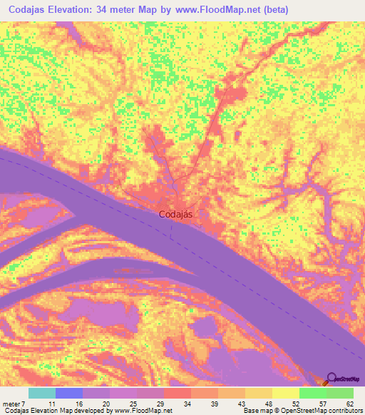 Codajas,Brazil Elevation Map