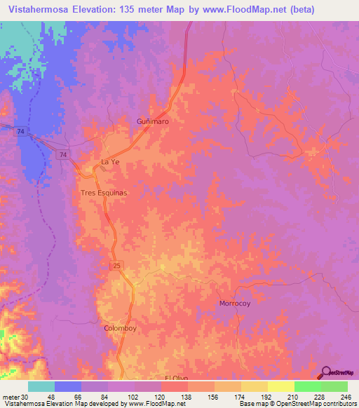 Vistahermosa,Colombia Elevation Map