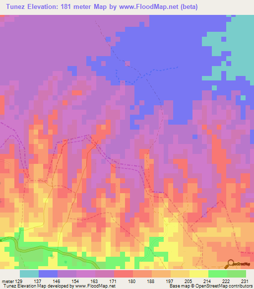 Tunez,Colombia Elevation Map