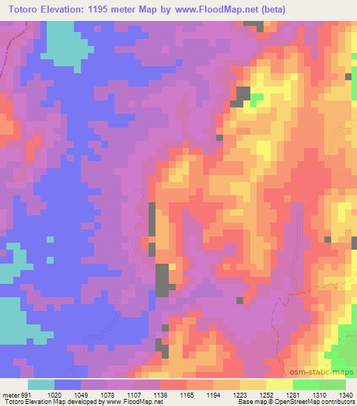 Totoro,Colombia Elevation Map