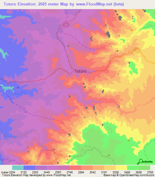 Totoro,Colombia Elevation Map