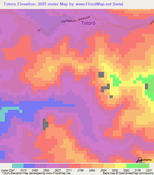 Totoro,Colombia Elevation Map