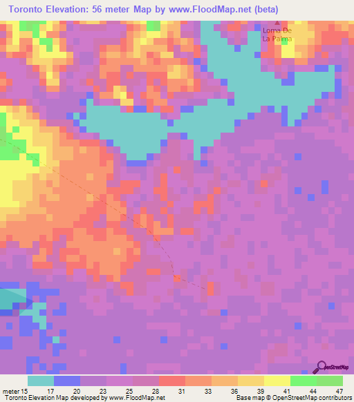 Toronto,Colombia Elevation Map