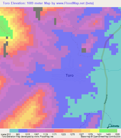 Toro,Colombia Elevation Map