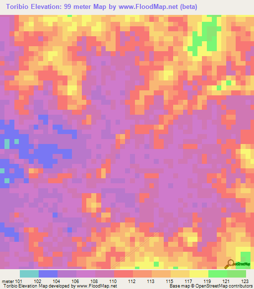 Toribio,Colombia Elevation Map